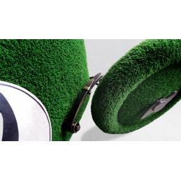 Tartaruga nella macchina