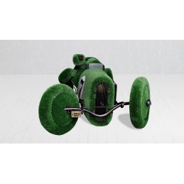 Tartaruga nella macchina