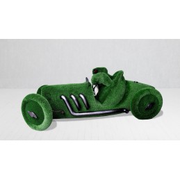 Tartaruga nella macchina