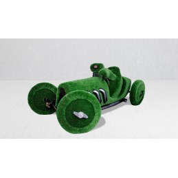 Tartaruga nella macchina